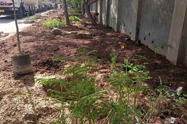 Landscaping Services